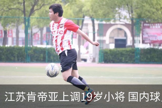 江苏肯帝亚上调19岁小将 国内球员注册达16人