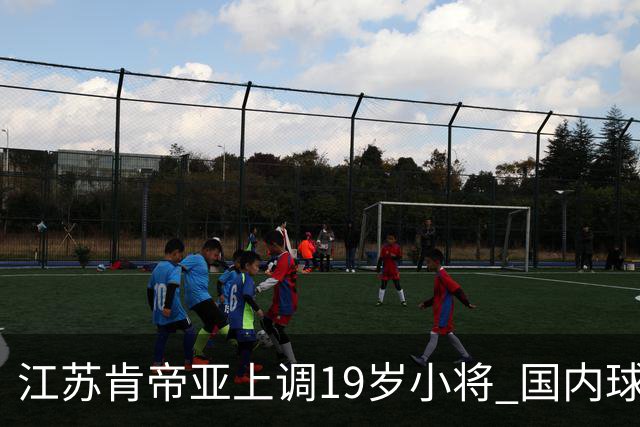 江苏肯帝亚上调19岁小将 国内球员注册达16人